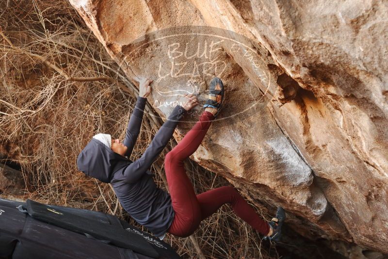 Bouldering in Hueco Tanks on 01/12/2019 with Blue Lizard Climbing and Yoga

Filename: SRM_20190112_1311000.jpg
Aperture: f/6.3
Shutter Speed: 1/100
Body: Canon EOS-1D Mark II
Lens: Canon EF 50mm f/1.8 II