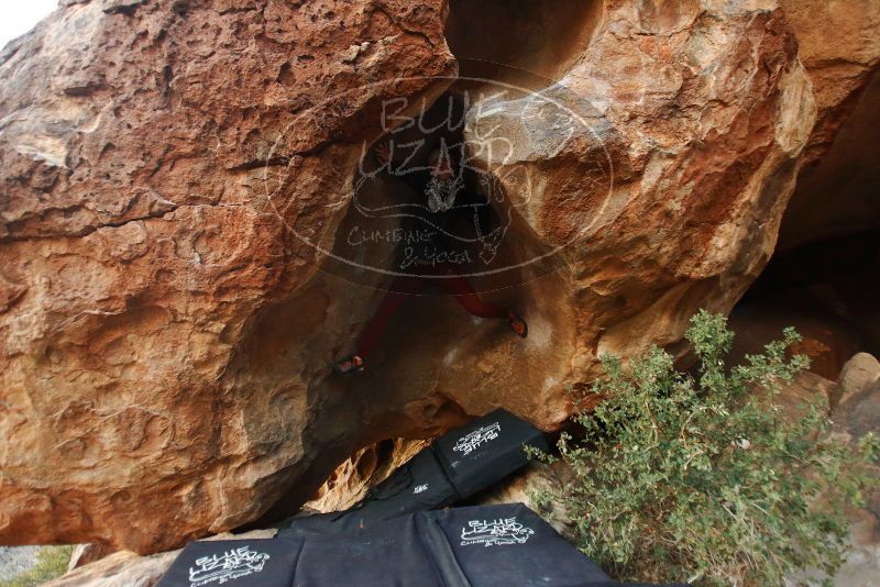 Bouldering in Hueco Tanks on 01/12/2019 with Blue Lizard Climbing and Yoga

Filename: SRM_20190112_1808320.jpg
Aperture: f/2.8
Shutter Speed: 1/200
Body: Canon EOS-1D Mark II
Lens: Canon EF 16-35mm f/2.8 L