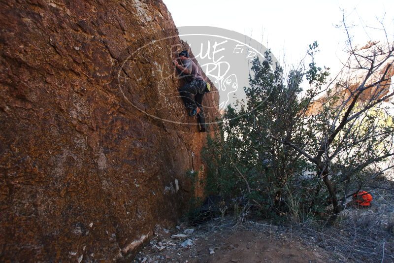 Bouldering in Hueco Tanks on 01/13/2019 with Blue Lizard Climbing and Yoga

Filename: SRM_20190113_1335220.jpg
Aperture: f/5.6
Shutter Speed: 1/250
Body: Canon EOS-1D Mark II
Lens: Canon EF 16-35mm f/2.8 L