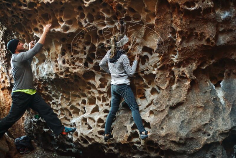 Bouldering in Hueco Tanks on 01/13/2019 with Blue Lizard Climbing and Yoga

Filename: SRM_20190113_1618020.jpg
Aperture: f/2.2
Shutter Speed: 1/80
Body: Canon EOS-1D Mark II
Lens: Canon EF 50mm f/1.8 II