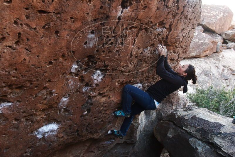 Bouldering in Hueco Tanks on 01/14/2019 with Blue Lizard Climbing and Yoga

Filename: SRM_20190114_1016100.jpg
Aperture: f/5.0
Shutter Speed: 1/160
Body: Canon EOS-1D Mark II
Lens: Canon EF 16-35mm f/2.8 L