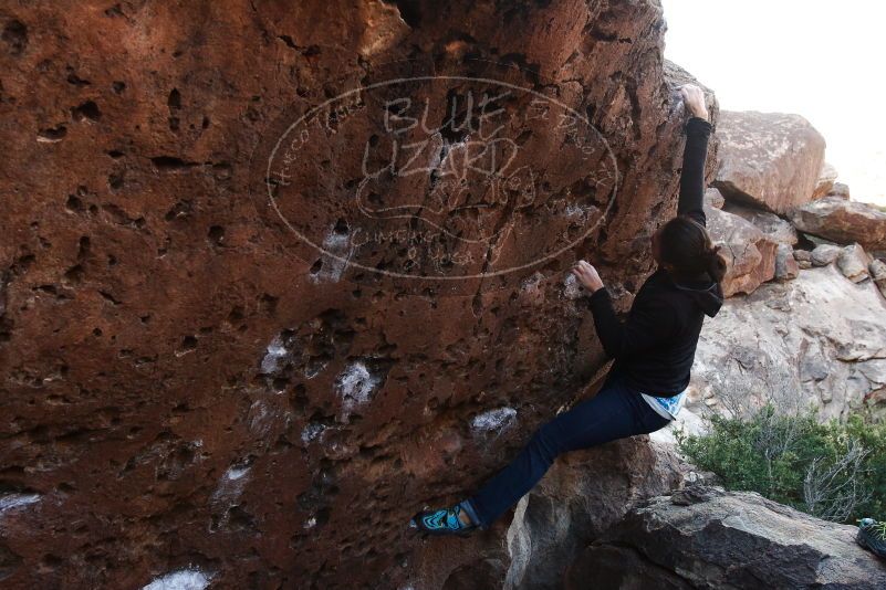 Bouldering in Hueco Tanks on 01/14/2019 with Blue Lizard Climbing and Yoga

Filename: SRM_20190114_1016140.jpg
Aperture: f/6.3
Shutter Speed: 1/160
Body: Canon EOS-1D Mark II
Lens: Canon EF 16-35mm f/2.8 L