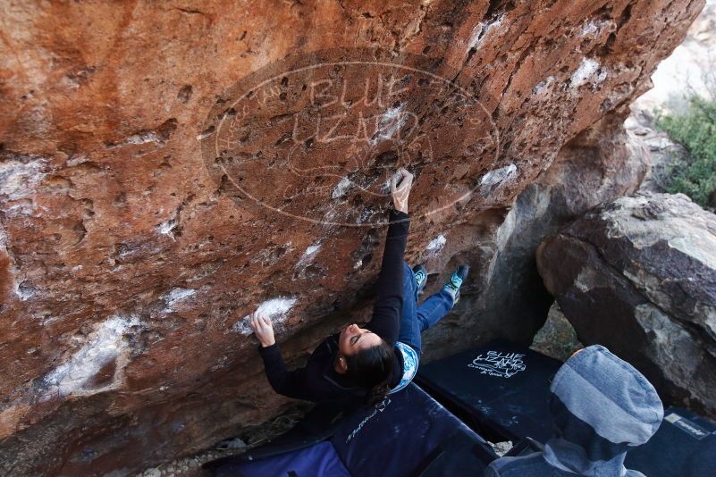 Bouldering in Hueco Tanks on 01/14/2019 with Blue Lizard Climbing and Yoga

Filename: SRM_20190114_1033330.jpg
Aperture: f/4.0
Shutter Speed: 1/200
Body: Canon EOS-1D Mark II
Lens: Canon EF 16-35mm f/2.8 L