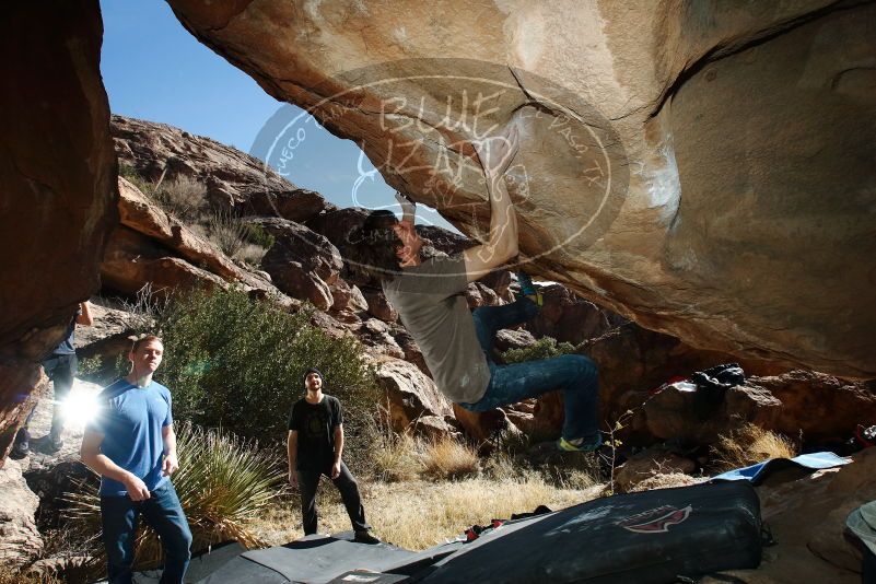 Bouldering in Hueco Tanks on 01/14/2019 with Blue Lizard Climbing and Yoga

Filename: SRM_20190114_1315000.jpg
Aperture: f/8.0
Shutter Speed: 1/250
Body: Canon EOS-1D Mark II
Lens: Canon EF 16-35mm f/2.8 L