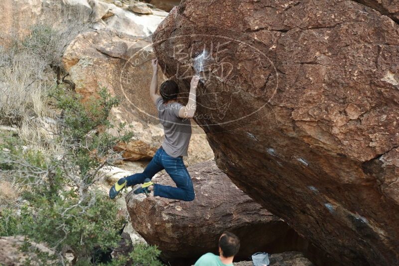 Bouldering in Hueco Tanks on 01/14/2019 with Blue Lizard Climbing and Yoga

Filename: SRM_20190114_1649120.jpg
Aperture: f/3.2
Shutter Speed: 1/320
Body: Canon EOS-1D Mark II
Lens: Canon EF 50mm f/1.8 II