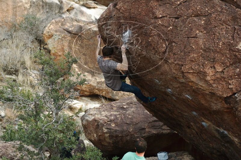 Bouldering in Hueco Tanks on 01/14/2019 with Blue Lizard Climbing and Yoga

Filename: SRM_20190114_1649130.jpg
Aperture: f/3.2
Shutter Speed: 1/320
Body: Canon EOS-1D Mark II
Lens: Canon EF 50mm f/1.8 II