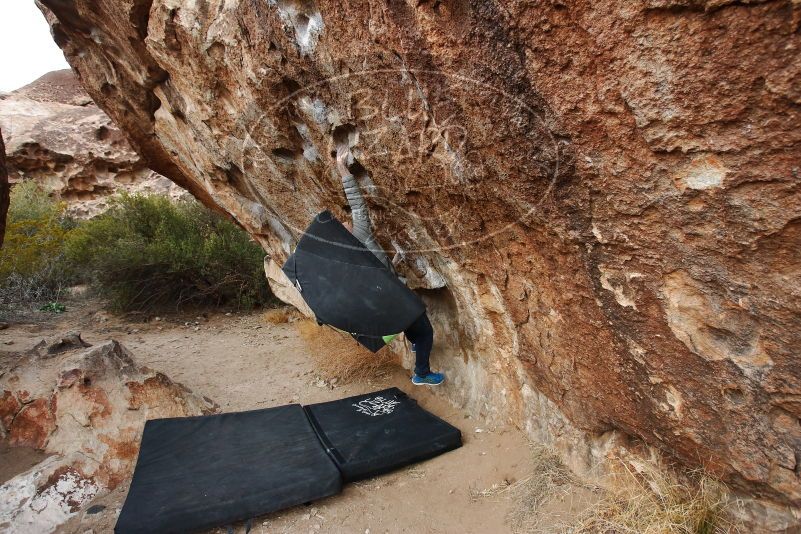 Bouldering in Hueco Tanks on 01/14/2019 with Blue Lizard Climbing and Yoga

Filename: SRM_20190114_1738580.jpg
Aperture: f/5.0
Shutter Speed: 1/200
Body: Canon EOS-1D Mark II
Lens: Canon EF 16-35mm f/2.8 L