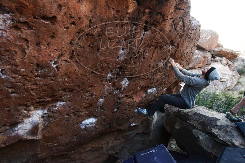 Bouldering in Hueco Tanks on 01/14/2019 with Blue Lizard Climbing and Yoga

Filename: SRM_20190114_1012160.jpg
Aperture: f/5.6
Shutter Speed: 1/160
Body: Canon EOS-1D Mark II
Lens: Canon EF 16-35mm f/2.8 L