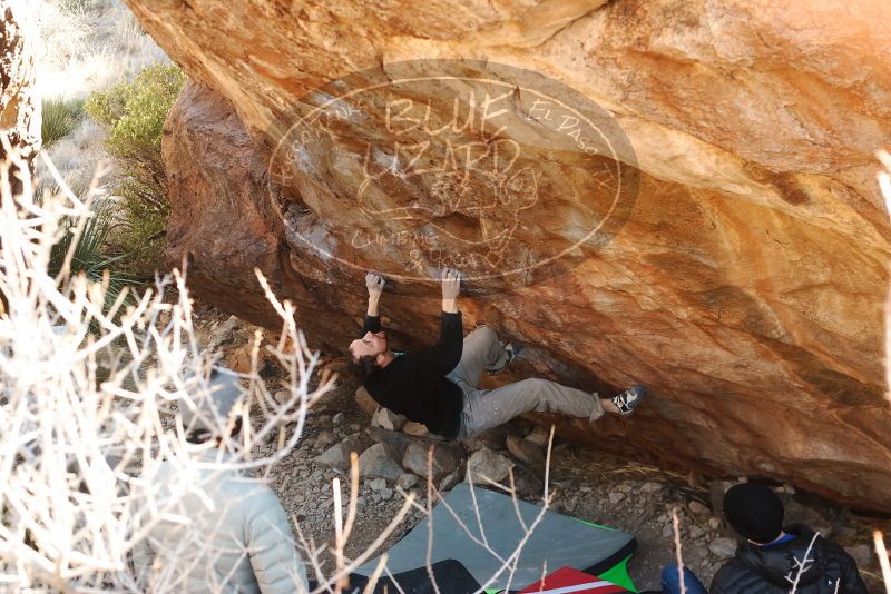 Bouldering in Hueco Tanks on 01/14/2019 with Blue Lizard Climbing and Yoga

Filename: SRM_20190114_1118190.jpg
Aperture: f/4.0
Shutter Speed: 1/250
Body: Canon EOS-1D Mark II
Lens: Canon EF 50mm f/1.8 II