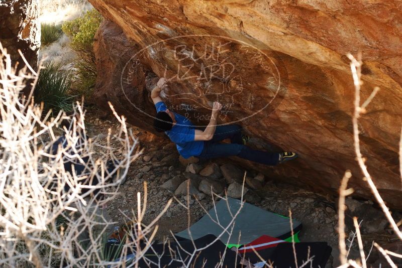 Bouldering in Hueco Tanks on 01/14/2019 with Blue Lizard Climbing and Yoga

Filename: SRM_20190114_1120000.jpg
Aperture: f/4.0
Shutter Speed: 1/250
Body: Canon EOS-1D Mark II
Lens: Canon EF 50mm f/1.8 II