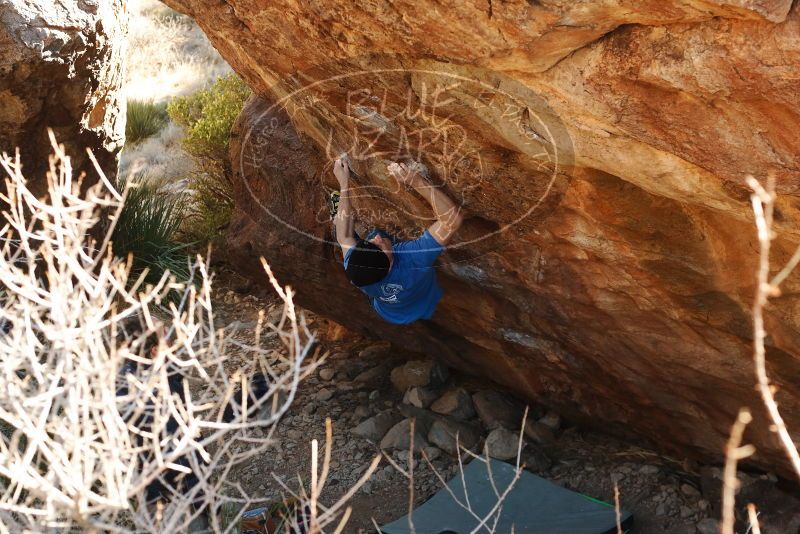 Bouldering in Hueco Tanks on 01/14/2019 with Blue Lizard Climbing and Yoga

Filename: SRM_20190114_1120090.jpg
Aperture: f/4.0
Shutter Speed: 1/250
Body: Canon EOS-1D Mark II
Lens: Canon EF 50mm f/1.8 II