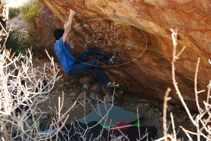 Bouldering in Hueco Tanks on 01/14/2019 with Blue Lizard Climbing and Yoga

Filename: SRM_20190114_1120140.jpg
Aperture: f/4.0
Shutter Speed: 1/250
Body: Canon EOS-1D Mark II
Lens: Canon EF 50mm f/1.8 II