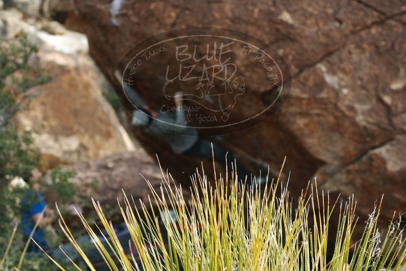 Bouldering in Hueco Tanks on 01/14/2019 with Blue Lizard Climbing and Yoga

Filename: SRM_20190114_1645290.jpg
Aperture: f/3.5
Shutter Speed: 1/320
Body: Canon EOS-1D Mark II
Lens: Canon EF 50mm f/1.8 II