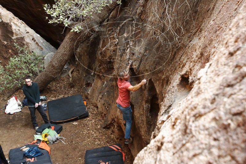 Bouldering in Hueco Tanks on 01/18/2019 with Blue Lizard Climbing and Yoga

Filename: SRM_20190118_1234470.jpg
Aperture: f/5.0
Shutter Speed: 1/160
Body: Canon EOS-1D Mark II
Lens: Canon EF 16-35mm f/2.8 L