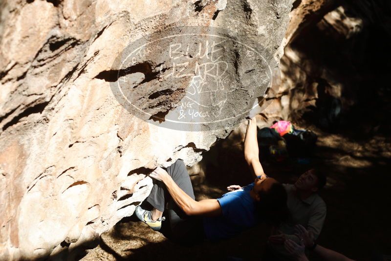 Bouldering in Hueco Tanks on 01/18/2019 with Blue Lizard Climbing and Yoga

Filename: SRM_20190118_1258130.jpg
Aperture: f/3.5
Shutter Speed: 1/1000
Body: Canon EOS-1D Mark II
Lens: Canon EF 50mm f/1.8 II