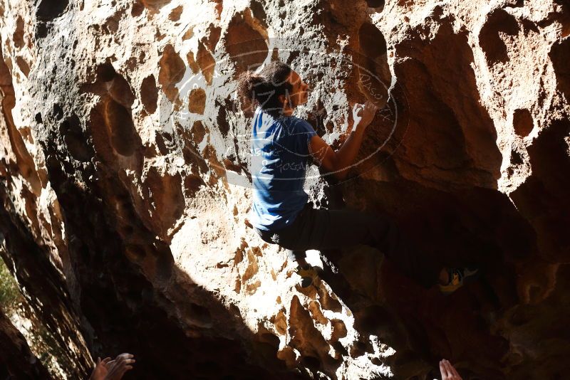 Bouldering in Hueco Tanks on 01/18/2019 with Blue Lizard Climbing and Yoga

Filename: SRM_20190118_1312410.jpg
Aperture: f/2.8
Shutter Speed: 1/1600
Body: Canon EOS-1D Mark II
Lens: Canon EF 50mm f/1.8 II