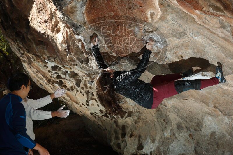 Bouldering in Hueco Tanks on 01/18/2019 with Blue Lizard Climbing and Yoga

Filename: SRM_20190118_1321190.jpg
Aperture: f/5.6
Shutter Speed: 1/200
Body: Canon EOS-1D Mark II
Lens: Canon EF 50mm f/1.8 II