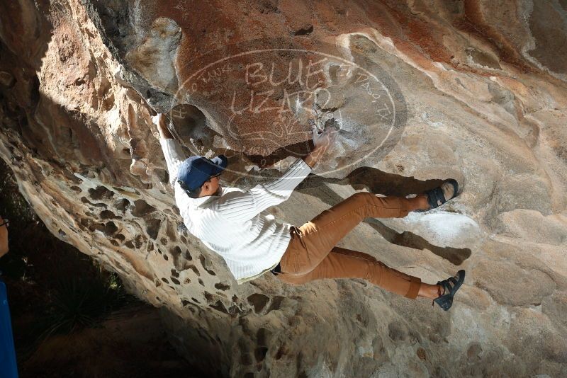 Bouldering in Hueco Tanks on 01/18/2019 with Blue Lizard Climbing and Yoga

Filename: SRM_20190118_1322180.jpg
Aperture: f/5.6
Shutter Speed: 1/200
Body: Canon EOS-1D Mark II
Lens: Canon EF 50mm f/1.8 II