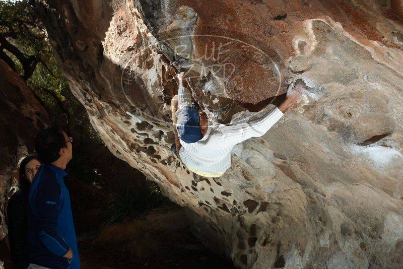 Bouldering in Hueco Tanks on 01/18/2019 with Blue Lizard Climbing and Yoga

Filename: SRM_20190118_1322250.jpg
Aperture: f/5.6
Shutter Speed: 1/200
Body: Canon EOS-1D Mark II
Lens: Canon EF 50mm f/1.8 II