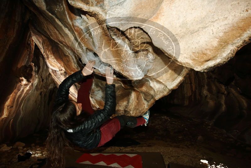 Bouldering in Hueco Tanks on 01/18/2019 with Blue Lizard Climbing and Yoga

Filename: SRM_20190118_1440580.jpg
Aperture: f/8.0
Shutter Speed: 1/250
Body: Canon EOS-1D Mark II
Lens: Canon EF 16-35mm f/2.8 L