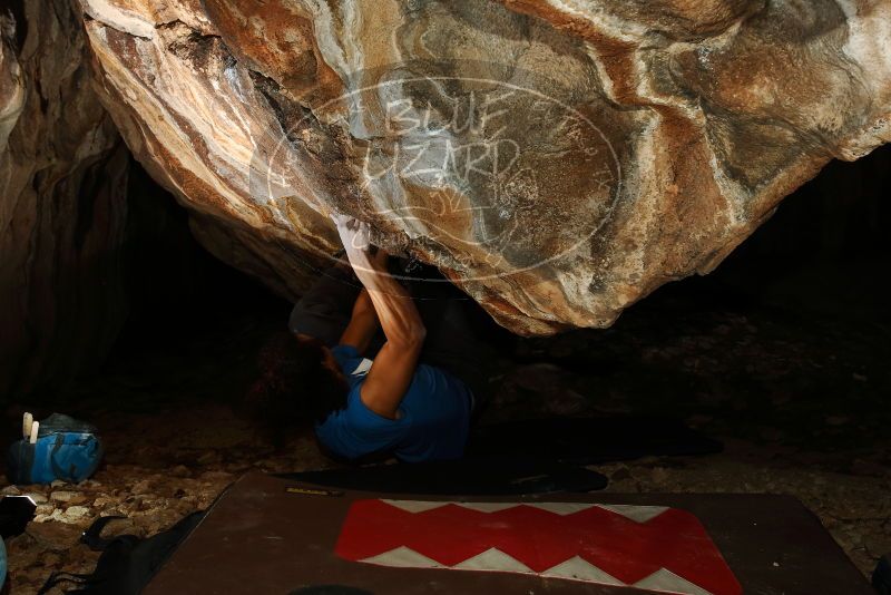 Bouldering in Hueco Tanks on 01/18/2019 with Blue Lizard Climbing and Yoga

Filename: SRM_20190118_1453170.jpg
Aperture: f/8.0
Shutter Speed: 1/250
Body: Canon EOS-1D Mark II
Lens: Canon EF 16-35mm f/2.8 L