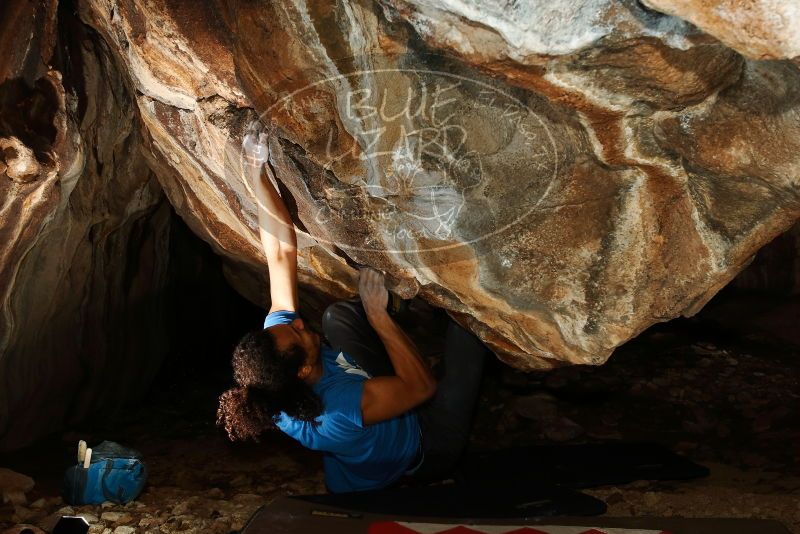 Bouldering in Hueco Tanks on 01/18/2019 with Blue Lizard Climbing and Yoga

Filename: SRM_20190118_1453280.jpg
Aperture: f/8.0
Shutter Speed: 1/250
Body: Canon EOS-1D Mark II
Lens: Canon EF 16-35mm f/2.8 L