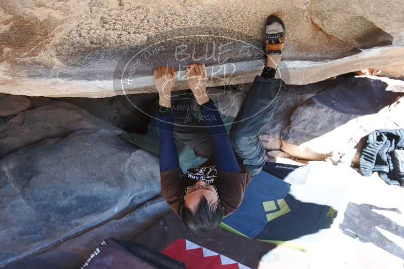 Bouldering in Hueco Tanks on 01/19/2019 with Blue Lizard Climbing and Yoga

Filename: SRM_20190119_1135250.jpg
Aperture: f/5.0
Shutter Speed: 1/250
Body: Canon EOS-1D Mark II
Lens: Canon EF 16-35mm f/2.8 L