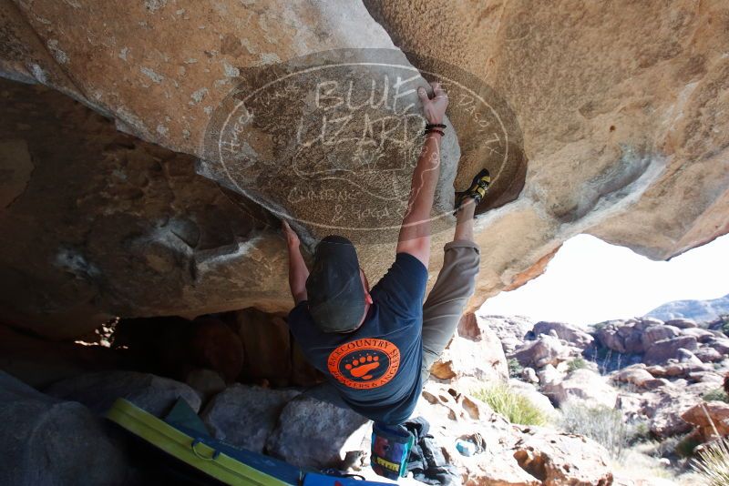 Bouldering in Hueco Tanks on 01/19/2019 with Blue Lizard Climbing and Yoga

Filename: SRM_20190119_1206080.jpg
Aperture: f/6.3
Shutter Speed: 1/250
Body: Canon EOS-1D Mark II
Lens: Canon EF 16-35mm f/2.8 L