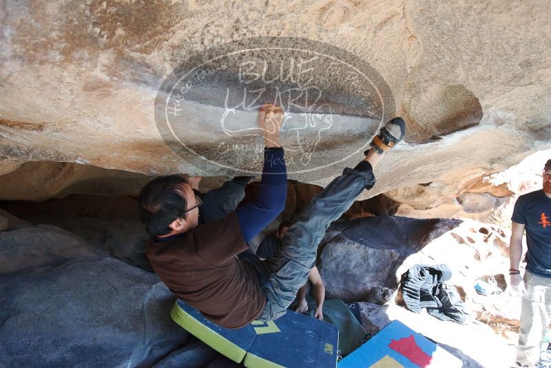 Bouldering in Hueco Tanks on 01/19/2019 with Blue Lizard Climbing and Yoga

Filename: SRM_20190119_1225150.jpg
Aperture: f/5.0
Shutter Speed: 1/320
Body: Canon EOS-1D Mark II
Lens: Canon EF 16-35mm f/2.8 L