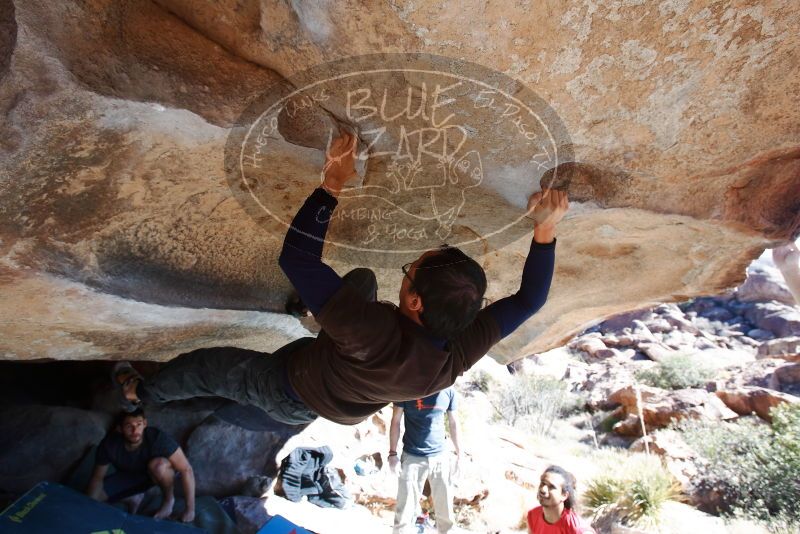 Bouldering in Hueco Tanks on 01/19/2019 with Blue Lizard Climbing and Yoga

Filename: SRM_20190119_1225280.jpg
Aperture: f/5.6
Shutter Speed: 1/320
Body: Canon EOS-1D Mark II
Lens: Canon EF 16-35mm f/2.8 L