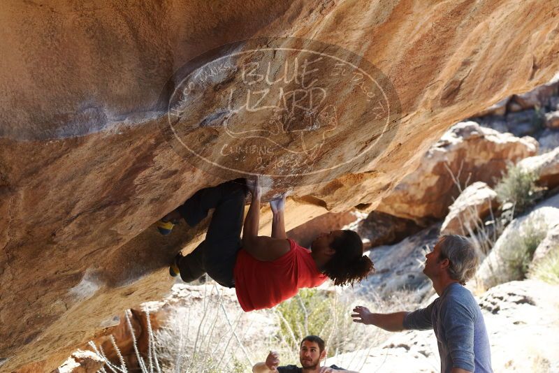 Bouldering in Hueco Tanks on 01/19/2019 with Blue Lizard Climbing and Yoga

Filename: SRM_20190119_1424120.jpg
Aperture: f/4.0
Shutter Speed: 1/500
Body: Canon EOS-1D Mark II
Lens: Canon EF 50mm f/1.8 II