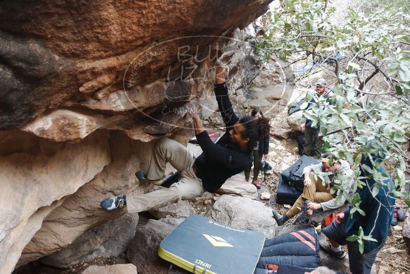 Bouldering in Hueco Tanks on 01/20/2019 with Blue Lizard Climbing and Yoga

Filename: SRM_20190120_1047580.jpg
Aperture: f/3.5
Shutter Speed: 1/160
Body: Canon EOS-1D Mark II
Lens: Canon EF 16-35mm f/2.8 L