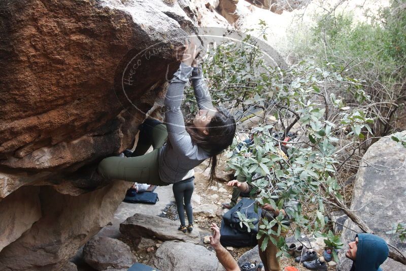 Bouldering in Hueco Tanks on 01/20/2019 with Blue Lizard Climbing and Yoga

Filename: SRM_20190120_1051430.jpg
Aperture: f/5.0
Shutter Speed: 1/160
Body: Canon EOS-1D Mark II
Lens: Canon EF 16-35mm f/2.8 L