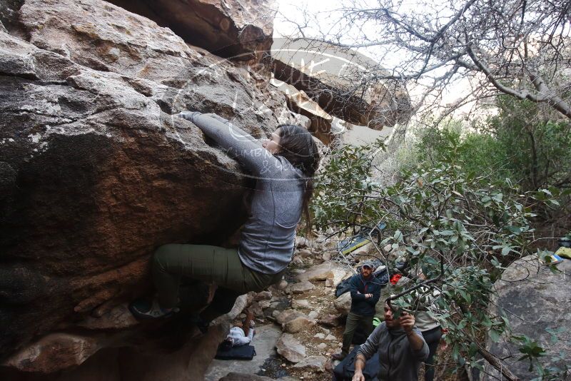 Bouldering in Hueco Tanks on 01/20/2019 with Blue Lizard Climbing and Yoga

Filename: SRM_20190120_1051550.jpg
Aperture: f/6.3
Shutter Speed: 1/160
Body: Canon EOS-1D Mark II
Lens: Canon EF 16-35mm f/2.8 L