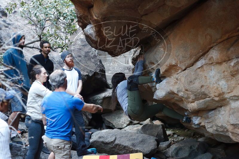 Bouldering in Hueco Tanks on 01/20/2019 with Blue Lizard Climbing and Yoga

Filename: SRM_20190120_1104140.jpg
Aperture: f/3.2
Shutter Speed: 1/250
Body: Canon EOS-1D Mark II
Lens: Canon EF 50mm f/1.8 II