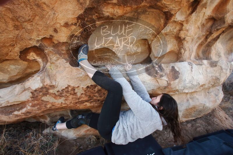 Bouldering in Hueco Tanks on 01/21/2019 with Blue Lizard Climbing and Yoga

Filename: SRM_20190121_1102420.jpg
Aperture: f/6.3
Shutter Speed: 1/250
Body: Canon EOS-1D Mark II
Lens: Canon EF 16-35mm f/2.8 L