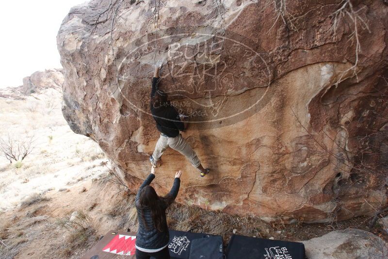 Bouldering in Hueco Tanks on 01/21/2019 with Blue Lizard Climbing and Yoga

Filename: SRM_20190121_1135450.jpg
Aperture: f/5.6
Shutter Speed: 1/250
Body: Canon EOS-1D Mark II
Lens: Canon EF 16-35mm f/2.8 L