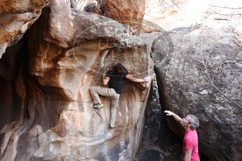 Bouldering in Hueco Tanks on 01/21/2019 with Blue Lizard Climbing and Yoga

Filename: SRM_20190121_1228160.jpg
Aperture: f/4.0
Shutter Speed: 1/200
Body: Canon EOS-1D Mark II
Lens: Canon EF 16-35mm f/2.8 L