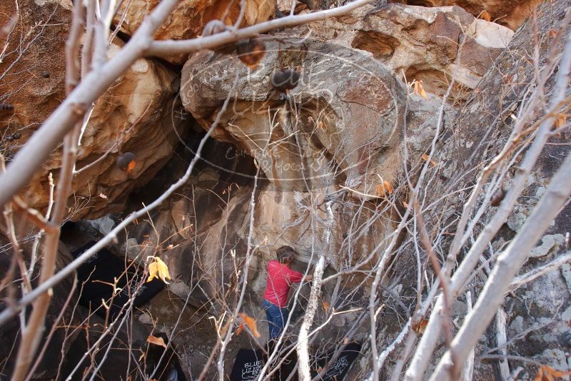 Bouldering in Hueco Tanks on 01/21/2019 with Blue Lizard Climbing and Yoga

Filename: SRM_20190121_1231200.jpg
Aperture: f/6.3
Shutter Speed: 1/200
Body: Canon EOS-1D Mark II
Lens: Canon EF 16-35mm f/2.8 L