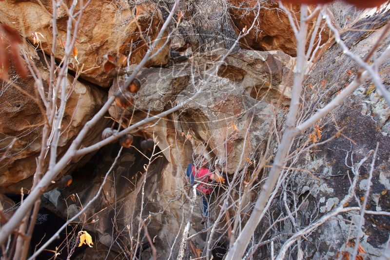 Bouldering in Hueco Tanks on 01/21/2019 with Blue Lizard Climbing and Yoga

Filename: SRM_20190121_1231560.jpg
Aperture: f/5.6
Shutter Speed: 1/250
Body: Canon EOS-1D Mark II
Lens: Canon EF 16-35mm f/2.8 L