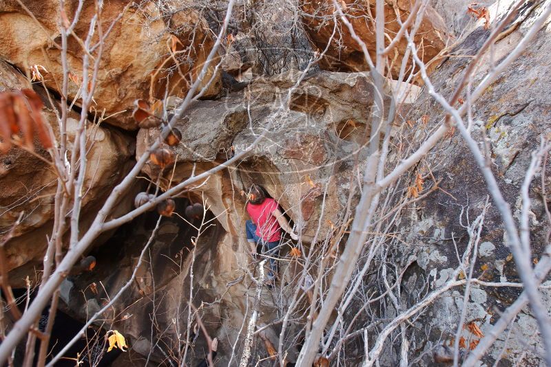 Bouldering in Hueco Tanks on 01/21/2019 with Blue Lizard Climbing and Yoga

Filename: SRM_20190121_1232050.jpg
Aperture: f/6.3
Shutter Speed: 1/250
Body: Canon EOS-1D Mark II
Lens: Canon EF 16-35mm f/2.8 L