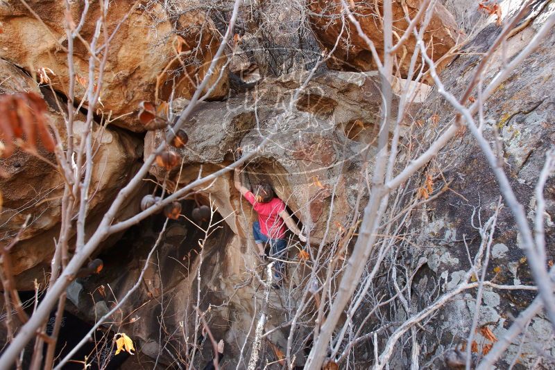 Bouldering in Hueco Tanks on 01/21/2019 with Blue Lizard Climbing and Yoga

Filename: SRM_20190121_1232060.jpg
Aperture: f/5.6
Shutter Speed: 1/250
Body: Canon EOS-1D Mark II
Lens: Canon EF 16-35mm f/2.8 L