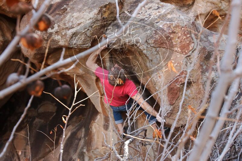 Bouldering in Hueco Tanks on 01/21/2019 with Blue Lizard Climbing and Yoga

Filename: SRM_20190121_1232130.jpg
Aperture: f/5.6
Shutter Speed: 1/250
Body: Canon EOS-1D Mark II
Lens: Canon EF 16-35mm f/2.8 L