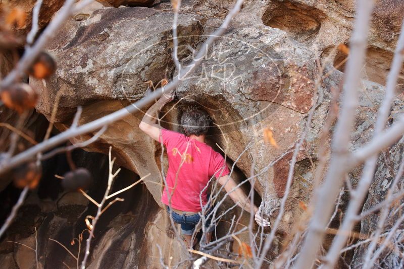 Bouldering in Hueco Tanks on 01/21/2019 with Blue Lizard Climbing and Yoga

Filename: SRM_20190121_1232170.jpg
Aperture: f/6.3
Shutter Speed: 1/250
Body: Canon EOS-1D Mark II
Lens: Canon EF 16-35mm f/2.8 L