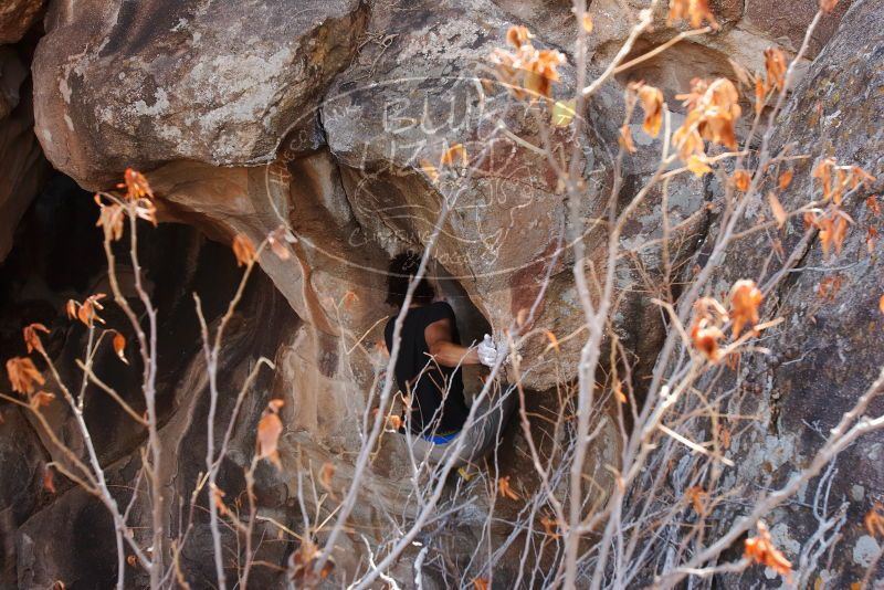 Bouldering in Hueco Tanks on 01/21/2019 with Blue Lizard Climbing and Yoga

Filename: SRM_20190121_1236180.jpg
Aperture: f/6.3
Shutter Speed: 1/250
Body: Canon EOS-1D Mark II
Lens: Canon EF 16-35mm f/2.8 L