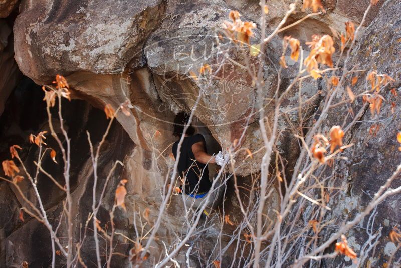 Bouldering in Hueco Tanks on 01/21/2019 with Blue Lizard Climbing and Yoga

Filename: SRM_20190121_1236181.jpg
Aperture: f/6.3
Shutter Speed: 1/250
Body: Canon EOS-1D Mark II
Lens: Canon EF 16-35mm f/2.8 L