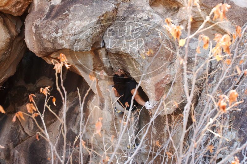 Bouldering in Hueco Tanks on 01/21/2019 with Blue Lizard Climbing and Yoga

Filename: SRM_20190121_1236220.jpg
Aperture: f/5.0
Shutter Speed: 1/250
Body: Canon EOS-1D Mark II
Lens: Canon EF 16-35mm f/2.8 L