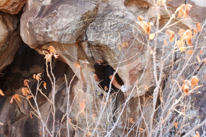 Bouldering in Hueco Tanks on 01/21/2019 with Blue Lizard Climbing and Yoga

Filename: SRM_20190121_1236221.jpg
Aperture: f/5.0
Shutter Speed: 1/250
Body: Canon EOS-1D Mark II
Lens: Canon EF 16-35mm f/2.8 L