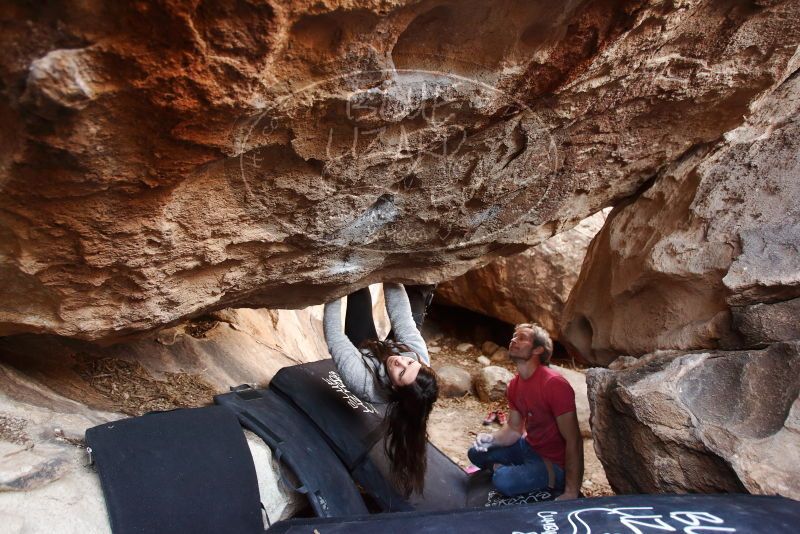 Bouldering in Hueco Tanks on 01/21/2019 with Blue Lizard Climbing and Yoga

Filename: SRM_20190121_1304380.jpg
Aperture: f/3.5
Shutter Speed: 1/200
Body: Canon EOS-1D Mark II
Lens: Canon EF 16-35mm f/2.8 L