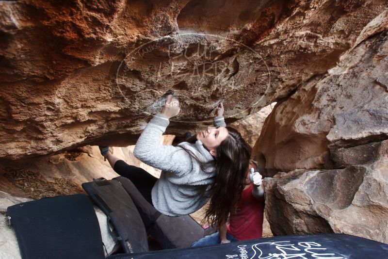 Bouldering in Hueco Tanks on 01/21/2019 with Blue Lizard Climbing and Yoga

Filename: SRM_20190121_1305470.jpg
Aperture: f/3.5
Shutter Speed: 1/200
Body: Canon EOS-1D Mark II
Lens: Canon EF 16-35mm f/2.8 L